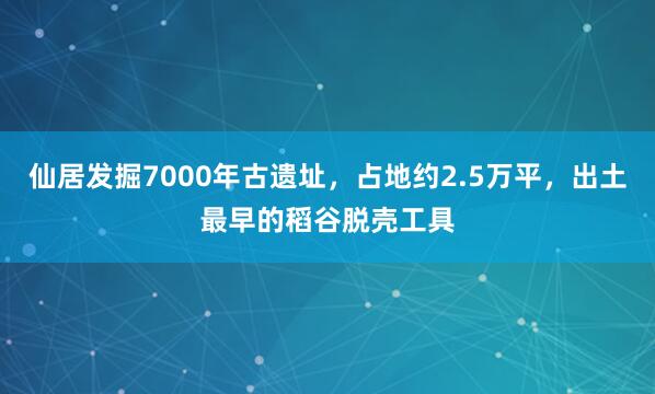 仙居发掘7000年古遗址，占地约2.5万平，出土最早的稻谷脱壳工具